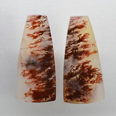 Carey-plume-agate-32.56-ct.jpg