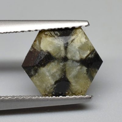 Chiastolite-1.73-ct.jpg