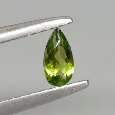 Chrome-diopside-0.20-ct.jpg