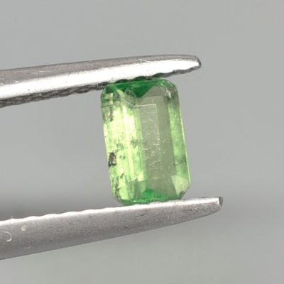 Chrome-diopside-0.41-ct.jpg