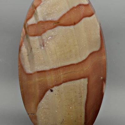 Dadoxylon-82.10-ct.jpg