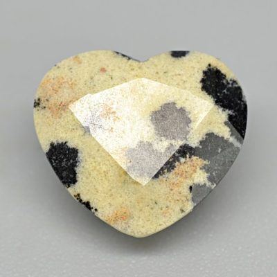 Dalmatian-jasper-3.02-ct.jpg