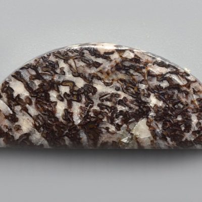 Dinosaur-bone-17.31-ct.jpg