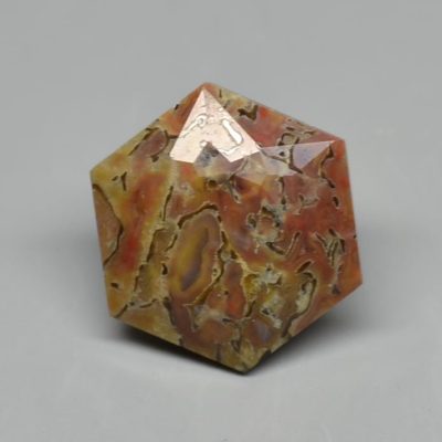 Dinosaur-bone-4.93-ct.jpg