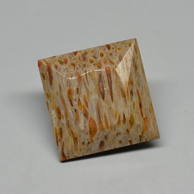 Dinosaur-bone-5.08-ct.jpg
