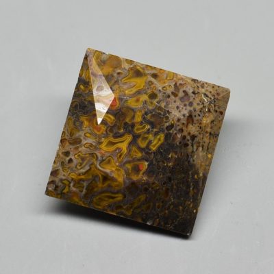Dinosaur-bone-7.87-a-ct.jpg