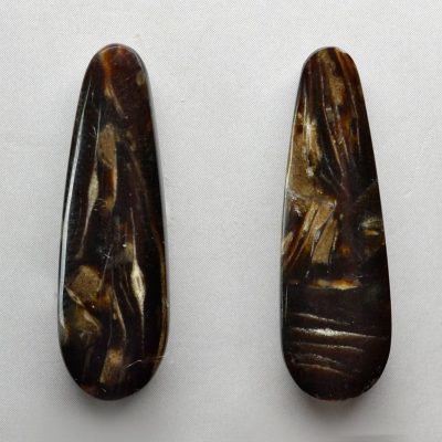 Fossil-foraminiferous-14.87-ct.jpg