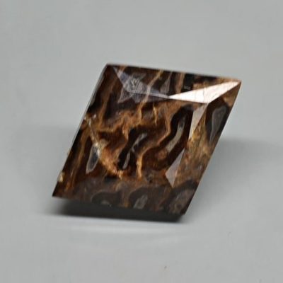 Fossil-pine-cone-Araucaria-mirabilis-3.44-ct.jpg