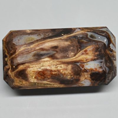 Fossil-pine-cone-Araucaria-mirabilis-8.61-ct.jpg