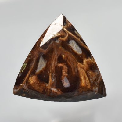 Fossil-pine-cone-Araucaria-mirabilis-8.93-ct.jpg