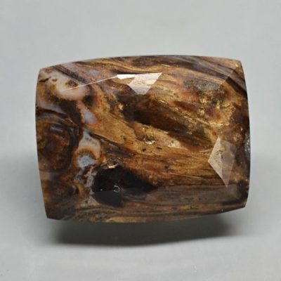 Fossil-pine-cone-Araucaria-mirabilis-9.75-ct.jpg
