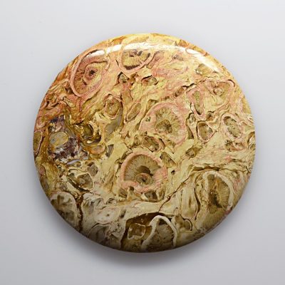 Indonesian-palm-root-55.73-ct.jpg