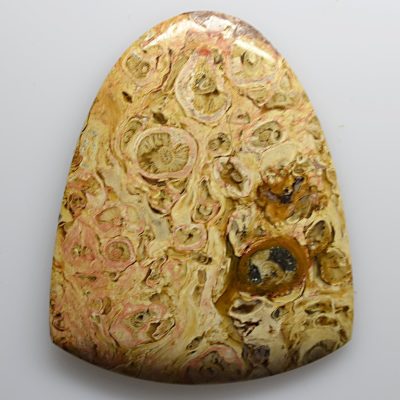 Indonesian-palm-root-57.87-ct.jpg