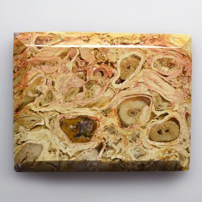 Indonesian-palm-root-72.23-ct.jpg