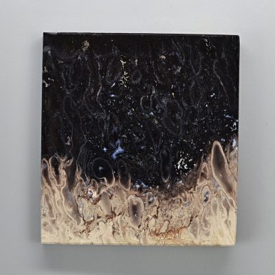 Indonesian-palm-wood-190.26-ct.jpg