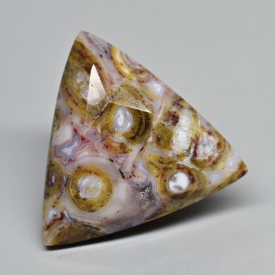 Palm-root-wood-7.98-ct.jpg