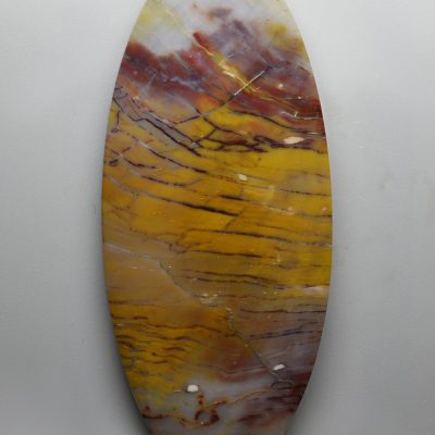Petrified-wood-araucarioxylon-187.74-ct.jpg