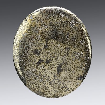 Plesiosaurus-bone-290.5-ct.jpg
