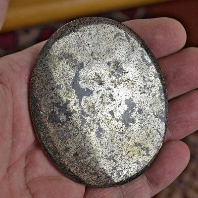 Plesiosaurus-bone-315.35-ct.b.jpg