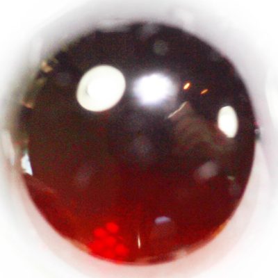 R5011.jpg