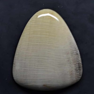 Sycamore-fossil-wood-34.62-ct.jpg