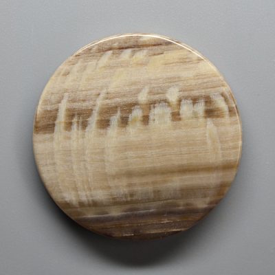 Sycamore-fossil-wood-36.22-ct.jpg
