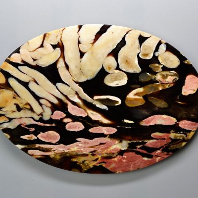 Teredo-227-ct.jpg