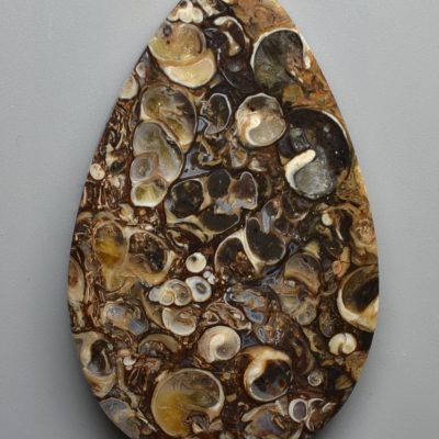 Turritella-agate-114.48-ct.jpg