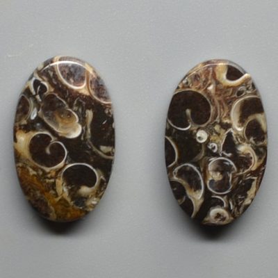Turritella-agate-16.02-ct.jpg
