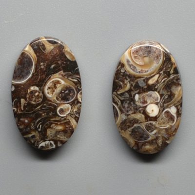 Turritella-agate-17.17-ct.jpg