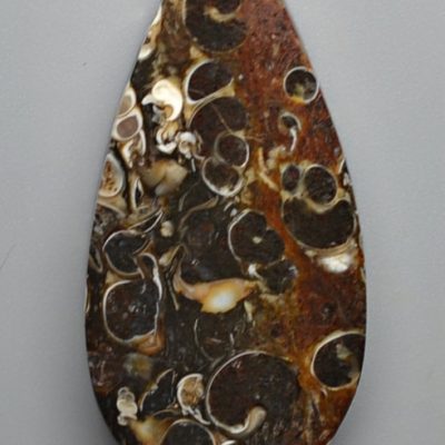 Turritella-agate-39.31-ct.jpg