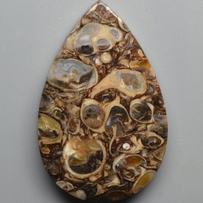 Turritella-agate-42.25-ct.jpg