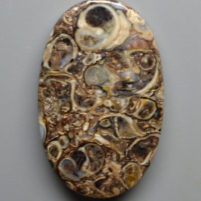 Turritella-agate-42.51-ct.jpg