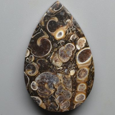 Turritella-agate-44.18-ct.jpg