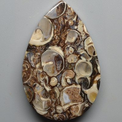 Turritella-agate-46.47-ct.jpg