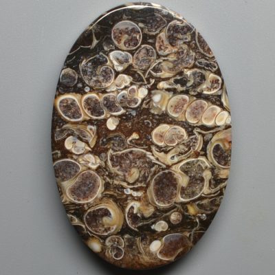 Turritella-agate-64.02-ct.jpg