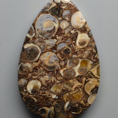 Turritella-agate-88.82-ct.jpg