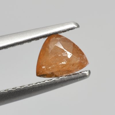 Xenotime-0.75-ct.jpg