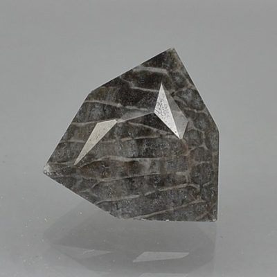 bryozoans-4.80-ct.-2.jpg