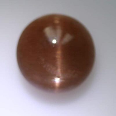 g1146.jpg