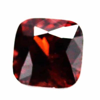 max1231.jpg