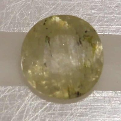 y10004.jpg