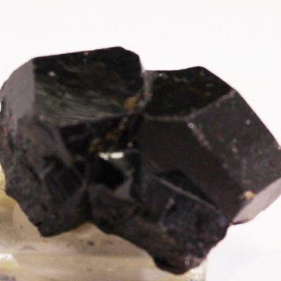 y10981.jpg