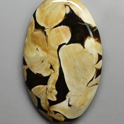 y30844.jpg