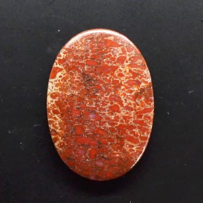 y9799.jpg