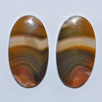 y9957.jpg