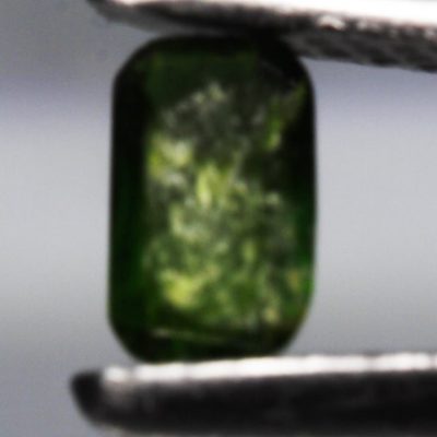 z483.jpg